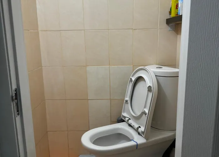 Artotrada Mini Oděsa